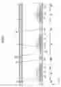Fig. 23 - LIGHTING DEVICE, DISPLAY DEVICE AND TELEVISION RECEIVER