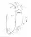 Fig. 06 - Eyewear for reducing symptoms of computer vision syndrome