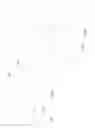 Fig. 16 - Vehicular rearview mirror elements and assemblies incorporating these elements