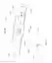 Fig. 24 - Vehicular rearview mirror elements and assemblies incorporating these elements