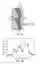 Fig. 22 - DIFFRACTIVE OPTICAL ELEMENT, OPTICAL SYSTEM, AND OPTICAL APPARATUS