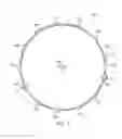 Fig. 08 - Tolerance ring with edge bump difference