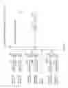 Fig. 44 - Transmission apparatus