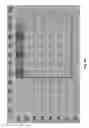 Fig. 41 - Systems and methods to exploit areas of coherence in wireless systems