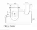 Fig. 02 - Nuclear fuel assembly hold down spring