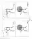 Fig. 16 - Computing device and method for motion detection