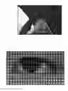 Fig. 01 - Camera for detecting driver's state