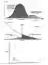 Fig. 02 - Biometric identification and verification