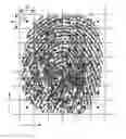 Fig. 01 - Fingerprint liveness analysis