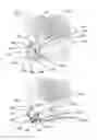 Fig. 06 - METHODS FOR COMPARING A FIRST MARKER, SUCH AS FINGERPRINT, WITH A SECOND MARKER OF THE SAME TYPE TO ESTABLISH A MATCH BETWEEN THER FIRST MARKER AND SECOND MARKER
