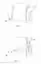 Fig. 06 - BIOPSY PLANNING AND DISPLAY APPARATUS