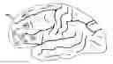 Fig. 01 - DEVICE AND METHOD FOR CEREBRAL LOCATION ASSISTANCE