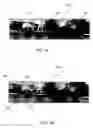 Fig. 02 - Methods and apparatus for generating a continuum of image data