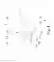 Fig. 05 - COUPLING MECHANISM