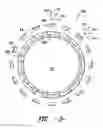 Fig. 04 - Inducer for gas turbine system