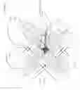Fig. 05 - CEILING FAN