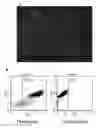 Fig. 01 - NANOPARTICLE-LOADED CELLS
