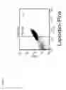 Fig. 06 - NANOPARTICLE-LOADED CELLS