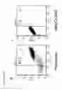 Fig. 09 - NANOPARTICLE-LOADED CELLS