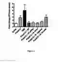 Fig. 06 - Probiotic therapies for autism