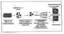 Fig. 01 - Method for obtaining female germline stem cells and uses thereof