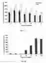 Fig. 02 - Method for obtaining female germline stem cells and uses thereof