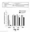 Fig. 24 - Heparan sulphate