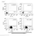 Fig. 02 - IMMUNOTHERAPEUTIC AGENT