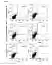 Fig. 07 - IMMUNOTHERAPEUTIC AGENT