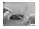 Fig. 01 - Genetically modified mesenchymal stem cell that express an exogenous cytotoxic protein
