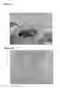 Fig. 02 - Genetically modified mesenchymal stem cell that express an exogenous cytotoxic protein