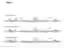 Fig. 09 - Genetically modified mesenchymal stem cell that express an exogenous cytotoxic protein