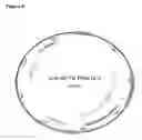 Fig. 10 - Genetically modified mesenchymal stem cell that express an exogenous cytotoxic protein