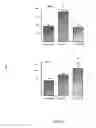 Fig. 08 - Therapeutic Use Of Probiotics