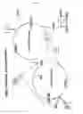 Fig. 03 - Treatment of diseases related to hyperactivity of the complement system