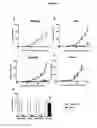 Fig. 03 - ANTI-ICAM-1 ANTIBODY, USES AND METHODS
