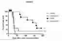 Fig. 04 - ANTI-ICAM-1 ANTIBODY, USES AND METHODS