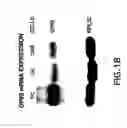 Fig. 03 - Methods and compositions for inhibiting the growth of hematopoietic malignant cells