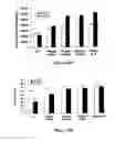 Fig. 22 - Methods and compositions for inhibiting the growth of hematopoietic malignant cells