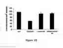 Fig. 24 - Methods and compositions for inhibiting the growth of hematopoietic malignant cells