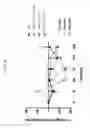 Fig. 07 - FGF21 mutant fusion polypeptides and uses thereof