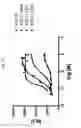 Fig. 63 - FGF21 mutant fusion polypeptides and uses thereof