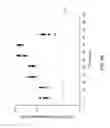Fig. 89 - FGF21 mutant fusion polypeptides and uses thereof