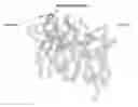 Fig. 01 - Method of inducing apoptosis using anti-DR5 antibodies