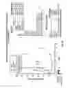 Fig. 40 - Method of inducing apoptosis using anti-DR5 antibodies
