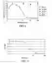 Fig. 06 - Methods for treating bone loss with antibodies to OPGL