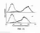 Fig. 02 - Method for the treatment of inflammatory disorders