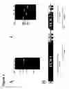 Fig. 02 - Marker of (Moac) and uses thereof