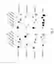 Fig. 07 - Modified human immunodeficiency virus type 1 (HIV-1) group M consensus envelope glycoproteins capable of inducing broadly reactive T- and B-cell responses