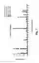 Fig. 09 - Methods and compositions for treating and preventing Shiga toxin-producing infection